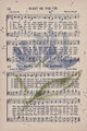 Image Not Available